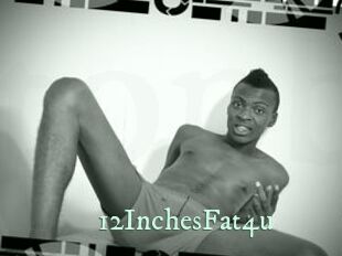 12InchesFat4u