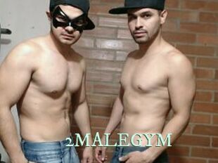 2MALEGYM
