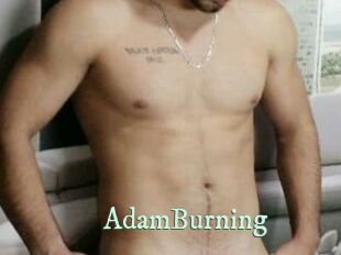 AdamBurning