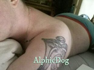 Alphie_Dog
