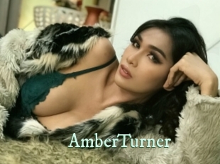 AmberTurner Top Blog X