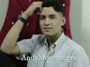 AndyMontenegro