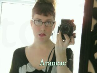 Araneae