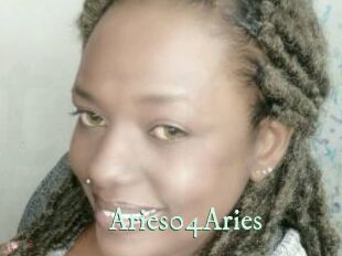 Aries04Aries