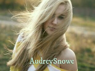 AudreySnowe Top Blog X