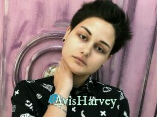 AvisHarvey