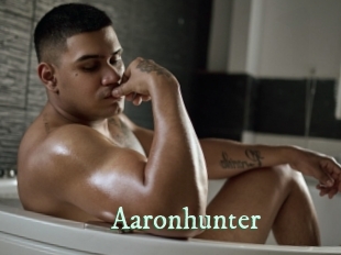 aaronhunter Top Blog X