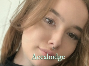 Accabodge