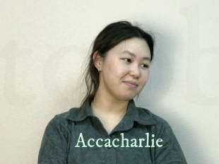Accacharlie