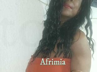 afrimia Top Blog X