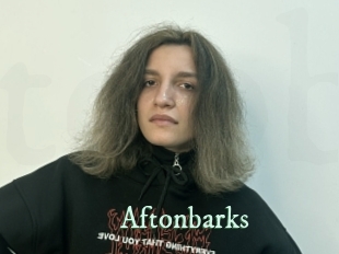 Aftonbarks