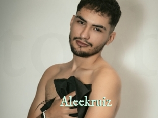 aleekruiz Top Blog X