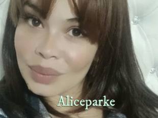 aliceparke Top Blog X