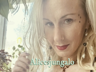 Alicesjungalo