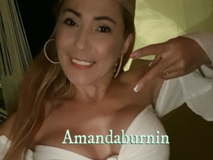 amandaburnin Top Blog X