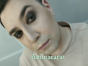 aminararat Top Blog X