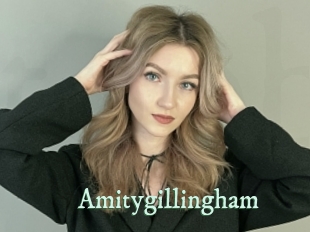 amitygillingham Top Blog X