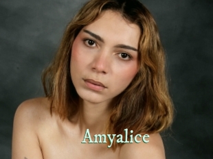 amyalice Top Blog X