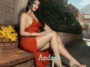 andrea Top Blog X