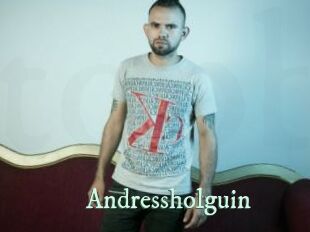 Andressholguin