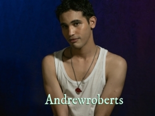 andrewroberts Top Blog X
