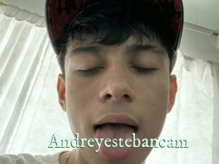 Andreyestebancam