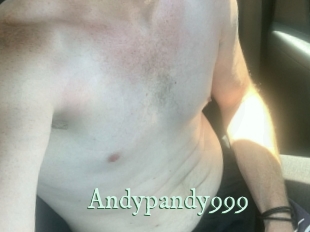 Andypandy999