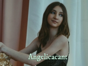 Angelicacant