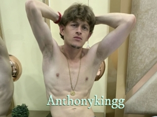 anthonykingg Top Blog X