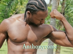 anthonyrome Top Blog X