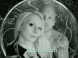 antnmeich Top Blog X