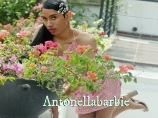 Antonellabarbie