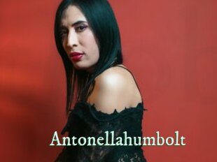 Antonellahumbolt