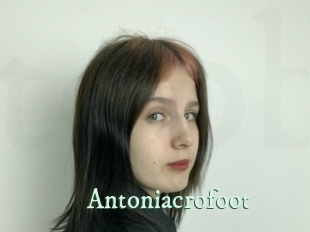 Antoniacrofoot