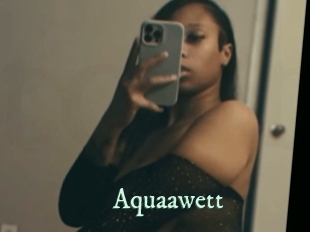 aquaawett Top Blog X