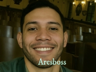 aresboss Top Blog X