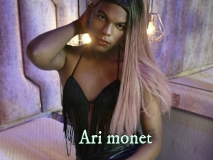 ari_monet Top Blog X