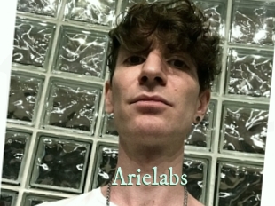 arielabs Top Blog X