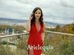 arielequin Top Blog X