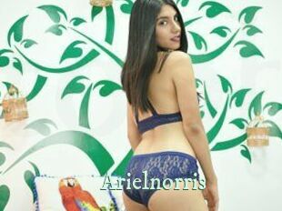 Arielnorris