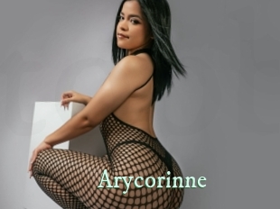 arycorinne Top Blog X