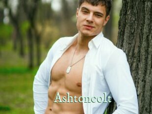 Ashtoncolt