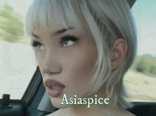 asiaspice Top Blog X