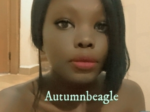 autumnbeagle Top Blog X