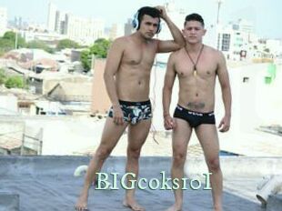 BIGcoks10I