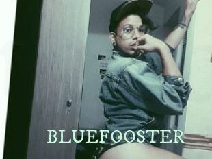 BLUEFOOSTER