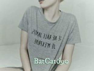 BatCat690
