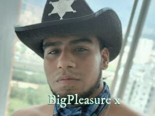 BigPleasure_x