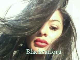 Blackcatforu