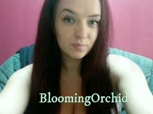 BloomingOrchid